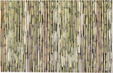 thumbnail of Cloison en bambou 2 x 2 m