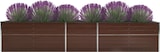 thumbnail of vidaXL Garten-Hochbeet Verzinkter Stahl 400x80x45 cm Braun