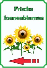thumbnail of Sonnenblumen Schild Hochkant mit Pfeil links A6 Rückseite selbstklebend