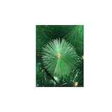 thumbnail of Árvore de Natal 1,80 Classic Green Pine