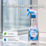 thumbnail of SODASAN Glasreiniger & Flächenreiniger 500ml