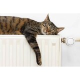 thumbnail of Ziegenhaar Heizkörperbürste - Langer Bürstenkopf mit Carbon Heizkörpertuch Radiator Bürste