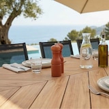thumbnail of Ensemble table extensible 220/280 cm et 10 chaises de jardin