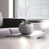 thumbnail of WellHome - Set van 3 Bloempotten 0,75L Beton Schaal Ø14,4 cm/u Zwart Cement Kleur