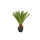 thumbnail of Kunstplant / Kunst palmboom CYCAS kunststof groen - hjh OFFICE