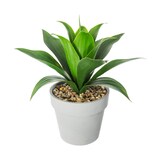 thumbnail of Plante artificielle Aloe vera en pot H 34 cm