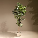 thumbnail of Albero artificiale ficus benjamina 180 cm | Naturing Monde - Interno - Tronco d'albero naturale