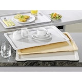 thumbnail of Tray,  EN (Euronorm)