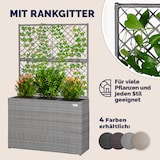 thumbnail of CASARIA® Blumenkasten Pflanztopf mit Rankgitter grau