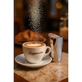 thumbnail of Cappuccino Strooier – Verchroomd 18/8 RVS – 10×4×3 cm – Fijnmazige cacaostrooier