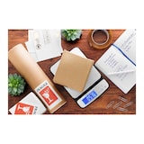 thumbnail of Steinberg Systems - Brievenweegschaal - 50 kg/1 g