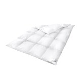 thumbnail of HS45 Decken 200x220 cm 70 % Daunen - 30 % Federn – SOMMER 1000 G
