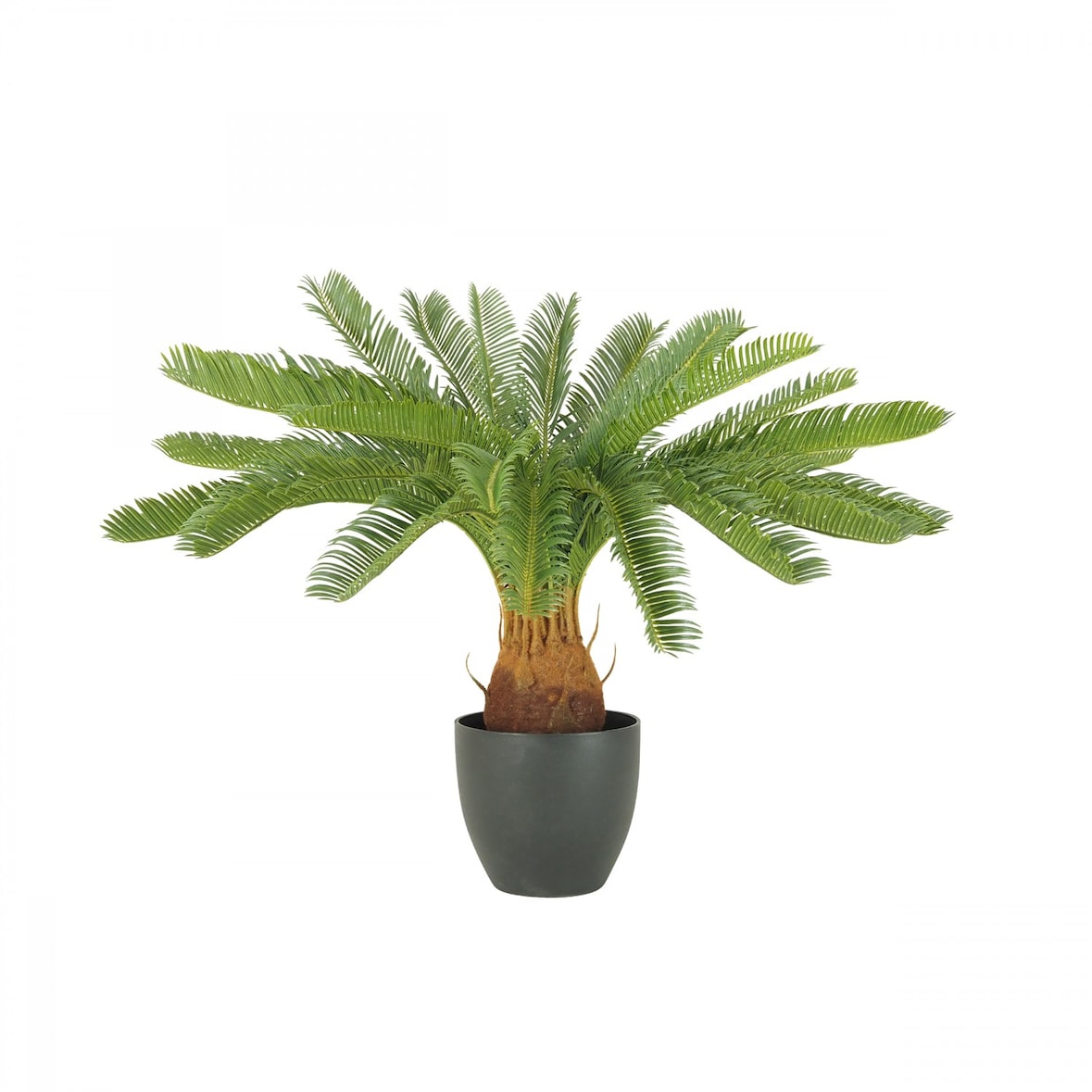 LIGNE DÉCO Palmier artificiel cycas 70cm