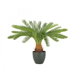 thumbnail of LIGNE DÉCO Palmier artificiel cycas 70cm