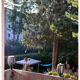 thumbnail of Glasreiniger Hochkonzentrat 5L ergibt  bis zu 2000 L Glasreiniger