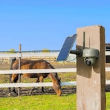 thumbnail of Reolink Go Series G450 mit Solarpanel 2 4G LTE 8 MP Wildkamera mit 360° Rundumsicht, Schwenk- & Neigefunktion, Erkennung von Tieren, inkl. Solarpanel