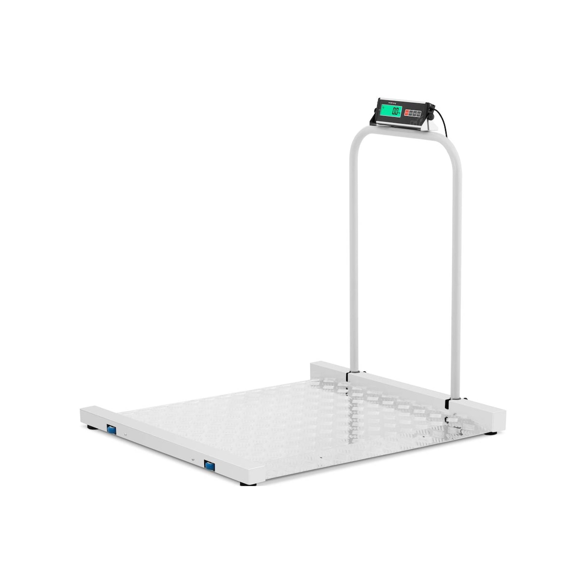 Steinberg Systems - Vloerweegschaal - 300 kg / 100 g - 100 x 95 cm - LCD