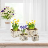 thumbnail of Relaxdays Blumentopf, 4 versch. Größen, eckig, Birke, Pflanzentöpfe mit Folie, Pflanzkörbe für innen & außen, weiß/natur