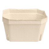 thumbnail of Nette 200 Beerenschalen für 1000g Beerenobst aus Holzschliff natur