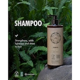 thumbnail of Bube Botanicals Shampoo-Spender 380 ml 24 Stück. Veganes Naturprodukt. Für sanfte Haarwäsche, die das Haar respektiert.