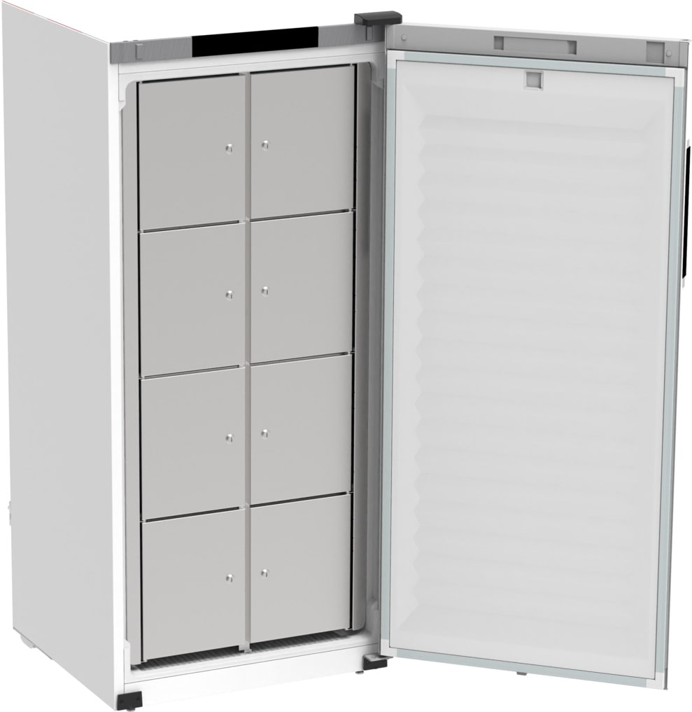 Rieber Gemeinschaftskühlschrank – mit 8 Schließfächern und Türanschlag rechts, 747 x 769 x 1683 mm