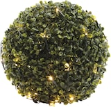 thumbnail of LED Lichternetz Lichterkette Buchsbaum Kugelnetz für Außen 80cm grün