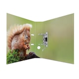 thumbnail of Herma 7202 Motivordner "Waldtiere" A4 70 mm