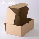 thumbnail of Lot de 1000 Boîtes postales brunes 350x220x130 mm