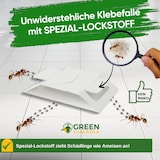 thumbnail of Ameisen Falle mit Spezial-Lockstoff: 15