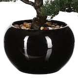 thumbnail of WellHome - Bonsai artificial en maceta de cerámica 35 x 32 x 34cm