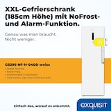 thumbnail of Exquisit Gefrierschrank GS295-NF-H-040D weiss | 274 l Nutzinhalt | NoFrost | Schnellgefrieren | Alarm-Funktion
