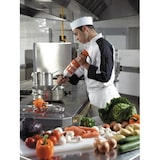 thumbnail of Dynamic Senior staafmixer PMX98