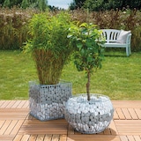 thumbnail of Wilk Gabione Olympia L