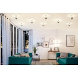 thumbnail of Paulmann Modern Classic Edition Standard 230 V Globe LED Calotte réflectrice E27 G95  600lm 6,5W 2700K gradable Calotte argentée 28673