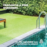 thumbnail of LUCCY Higienizador Césped Artificial 20 litros | Limpiador para Césped Artificial Triple Acción para Negocios