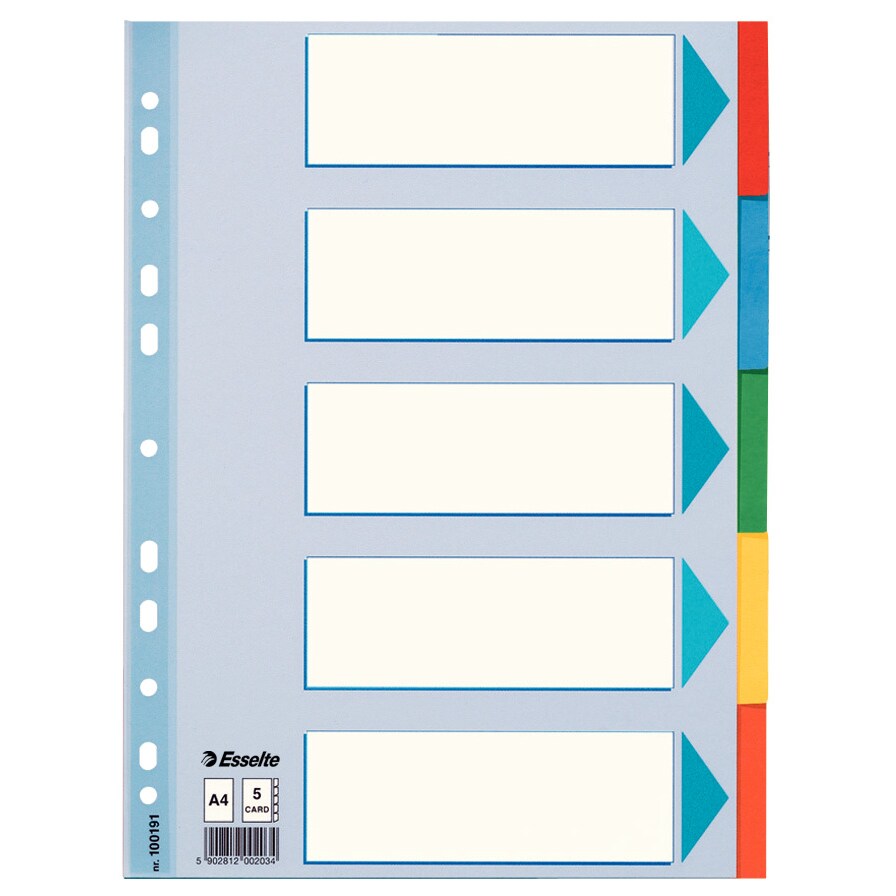 Kartonregister Standard Blanko, A4, Karton, 5 Blatt, weiss