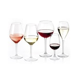 thumbnail of MONOUSO - Sektflöte für Wein Wiederverwendbar Durable Tritan Transparent 240ml (6 Stück)