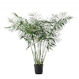 thumbnail of Palmier Areca 200 cm -  Vert  Plastique Lou De Castellane 0.01x0.01 cm