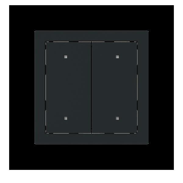 Busch-Jaeger Wippe für Elektroniktaster 2570-20-45M 2CKA001751A3320