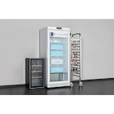 thumbnail of METRO PROFESSIONAL Glastürgefrierschrank GFR6600G, 380 L, weiß