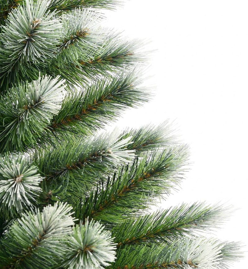 Grüner Baum mit weißen Spitzen.