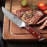 thumbnail of XinZuo - Damascus Steakmes - B13R Yu series