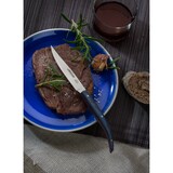 thumbnail of Arcos Table Messer - Steakmesser Tafelmesser - Klinge Nitrum Edelstahl 110 mm - HandGriff ABS Micarta Farbe Blau