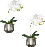 thumbnail of CREATIV green künstliche Pflanze Phalaenopsis mit Keramiktopf in Silber, weiß, 36cm, Real Touch, im 2er Set