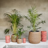 thumbnail of 3 Blumentöpfe 17-40cm Outdoor - Pflanzenkübel Blumenkübel außen Pflanzen Blumen Übertopf Pflanzentopf Pflanzgefäß für draußen Garten Deko Hellbraun