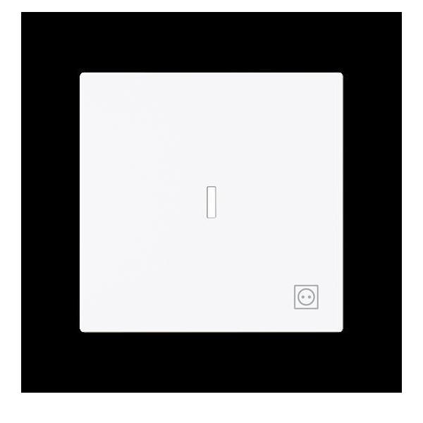 Busch-Jaeger Wippe mit Symbol Stecker 1789 ST-44G 2CKA001751A3381