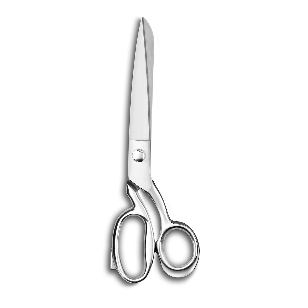 DEGLON Ciseaux de cuisine pour poisson inox Deglon