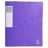 thumbnail of Exacompta - Réf. 16015H - 10 boites de classement Cartobox Dos 60mm Carte lustrée - A4 - Violet