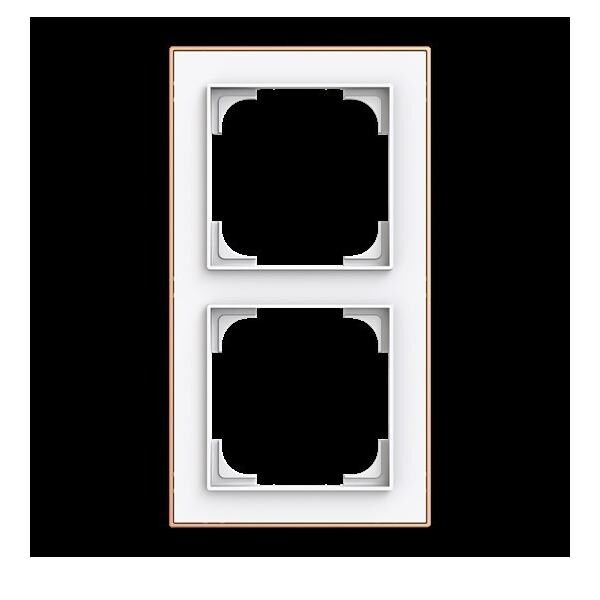 Busch-Jaeger Rahmen 2-fach 1722-441M 2CKA001754A4908