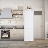 thumbnail of aro Frigorífico-congelador DFZW1750, metal/plástico/vidrio, 54.5x56x178 cm, 181L, congelador 63L , refrigeración por compresión, con cerradura, blanco